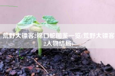 荒野大镖客2棉口蛇图鉴一览(荒野大镖客2人物结局)