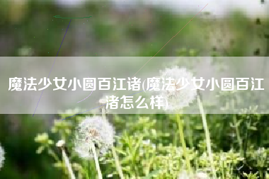 魔法少女小圆百江诸(魔法少女小圆百江渚怎么样)