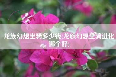 龙族幻想坐骑多少钱(龙族幻想坐骑进化哪个好)