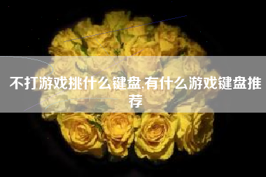 不打游戏挑什么键盘,有什么游戏键盘推荐