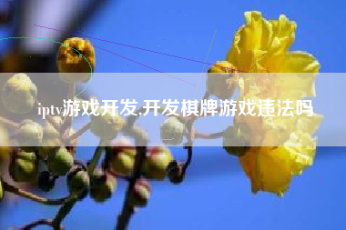 iptv游戏开发,开发棋牌游戏违法吗