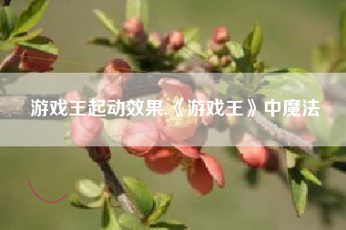 游戏王起动效果,《游戏王》中魔法