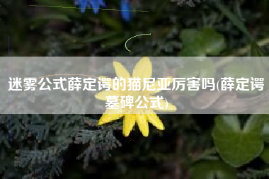 迷雾公式薛定谔的猫尼亚厉害吗(薛定谔墓碑公式)