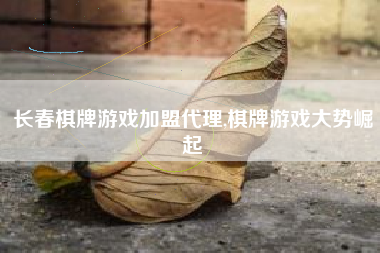 长春棋牌游戏加盟代理,棋牌游戏大势崛起