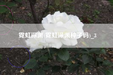 霓虹深渊(霓虹深渊种子码)_3