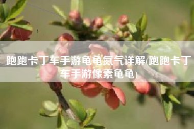 跑跑卡丁车手游龟龟氮气详解(跑跑卡丁车手游像素龟龟)