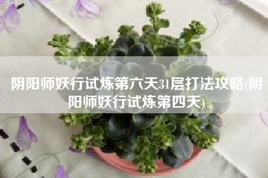 阴阳师妖行试炼第六天31层打法攻略(阴阳师妖行试炼第四天)