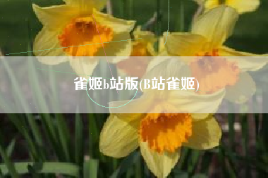 雀姬b站版(B站雀姬)