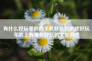 有什么好玩单机的手机联机的游戏好玩,手机上有哪些好玩的大型游戏