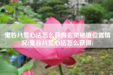 鬼谷八荒心法怎么获得玄灵秘境位置情况(鬼谷八荒心法怎么获得)