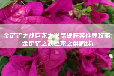 金铲铲之战巨龙之巢瑟提阵容推荐攻略(金铲铲之战巨龙之巢羁绊)