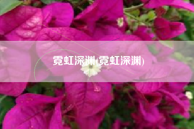 霓虹深渊(霓虹深渊)