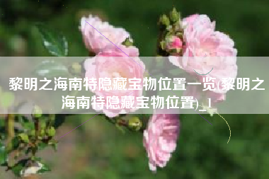 黎明之海南特隐藏宝物位置一览(黎明之海南特隐藏宝物位置)_1