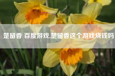 楚留香 百度游戏,楚留香这个游戏烧钱吗
