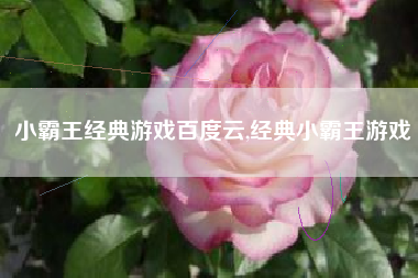 小霸王经典游戏百度云,经典小霸王游戏