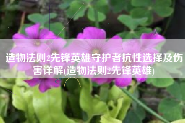 造物法则2先锋英雄守护者抗性选择及伤害详解(造物法则2先锋英雄)