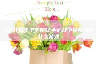 td是什么类型的游戏,全面战争模拟器是什么游戏