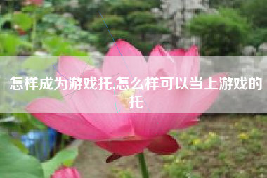 怎样成为游戏托,怎么样可以当上游戏的托