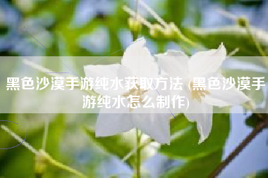 黑色沙漠手游纯水获取方法 (黑色沙漠手游纯水怎么制作)