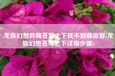 龙族幻想异闻苍穹之下找不到藤原智(龙族幻想苍穹之下详细步骤)