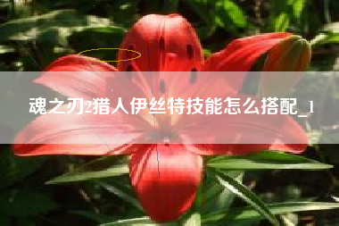 魂之刃2猎人伊丝特技能怎么搭配_1