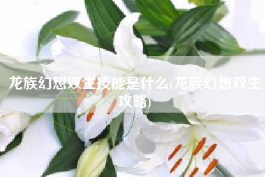 龙族幻想双生技能是什么(龙族幻想双生攻略)