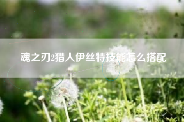 魂之刃2猎人伊丝特技能怎么搭配