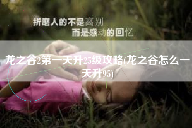 龙之谷2第一天升25级攻略(龙之谷怎么一天升95)