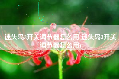 迷失岛3开关调节器怎么用(迷失岛3开关调节器怎么用)