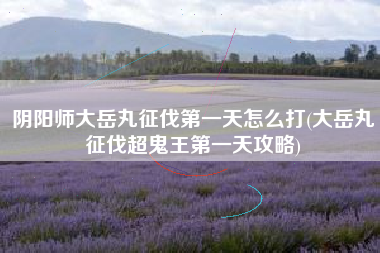 阴阳师大岳丸征伐第一天怎么打(大岳丸征伐超鬼王第一天攻略)