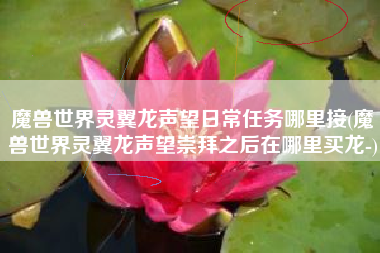 魔兽世界灵翼龙声望日常任务哪里接(魔兽世界灵翼龙声望崇拜之后在哪里买龙-)