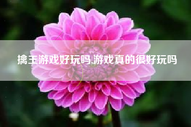 擒王游戏好玩吗,游戏真的很好玩吗