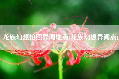 龙族幻想拍照异闻地点(龙族幻想异闻点)