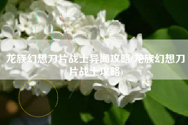 龙族幻想刀片战士异闻攻略(龙族幻想刀片战士攻略)