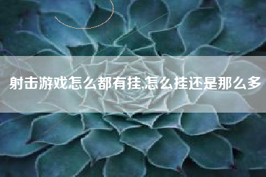 射击游戏怎么都有挂,怎么挂还是那么多