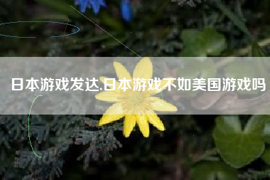 日本游戏发达,日本游戏不如美国游戏吗
