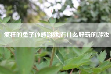 疯狂的兔子体感游戏,有什么好玩的游戏