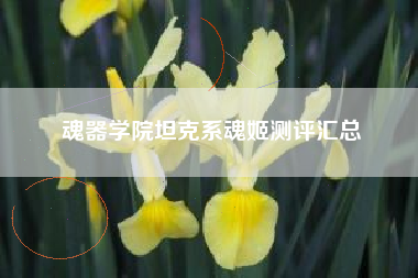 魂器学院坦克系魂姬测评汇总