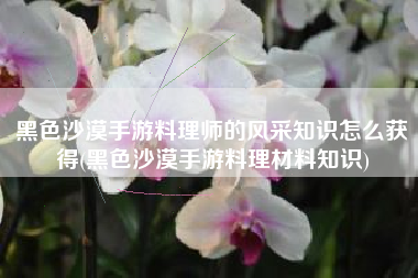 黑色沙漠手游料理师的风采知识怎么获得(黑色沙漠手游料理材料知识)