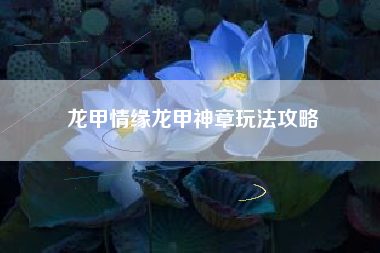 龙甲情缘龙甲神章玩法攻略