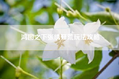 鸿图之下张绣开荒玩法攻略
