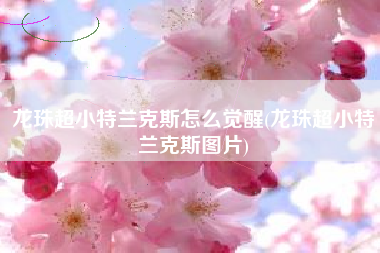 龙珠超小特兰克斯怎么觉醒(龙珠超小特兰克斯图片)