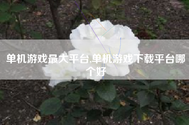 单机游戏最大平台,单机游戏下载平台哪个好
