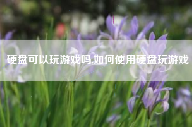 硬盘可以玩游戏吗,如何使用硬盘玩游戏