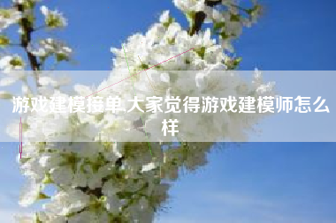 游戏建模接单,大家觉得游戏建模师怎么样