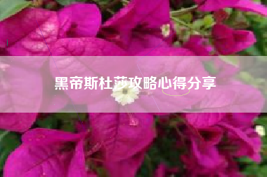黑帝斯杜莎攻略心得分享