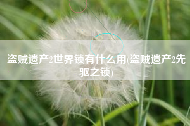盗贼遗产2世界锁有什么用(盗贼遗产2先驱之锁)