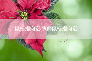 鼠标指向宏(牧师鼠标指向宏)