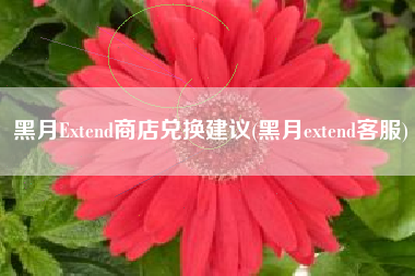 黑月Extend商店兑换建议(黑月extend客服)