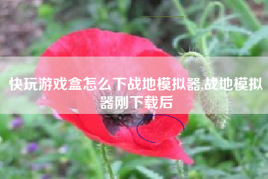 快玩游戏盒怎么下战地模拟器,战地模拟器刚下载后